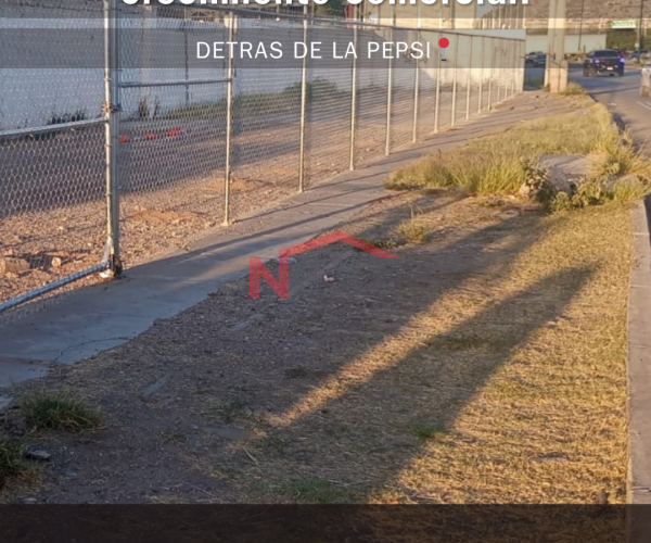 TERRENO EN RENTA EN SOBRE CAMINO DEL SERI