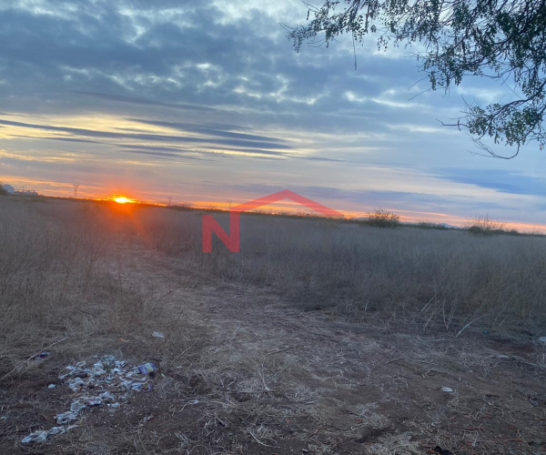 VENTA DE TERRENO AGRICOLA EJIDAL UBICADO EN TESOPOBAMPO