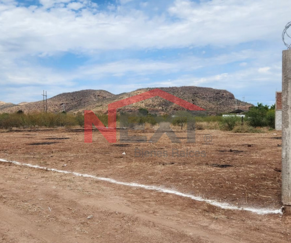 VENTA DE TERRENO CAMPESTRE UBICADO EN EJIDO "HENEQUEN"