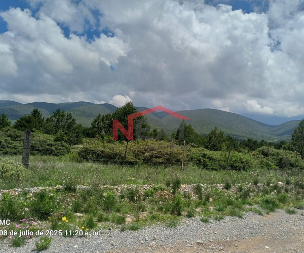 TERRENO EN VENTA  RUSTICO EN EL SOTOLAR