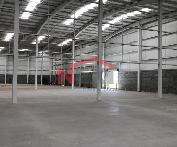 Bodega en Renta  600 m2 (4)