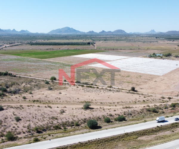 VENTA DE LOTE AGRICOLA