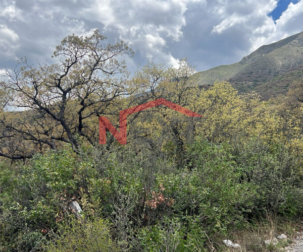 TERRENO EN VENTA  EN LOMAS DE LOURDES UBICADO AL SUR DE SALTILLO, COAHUILA