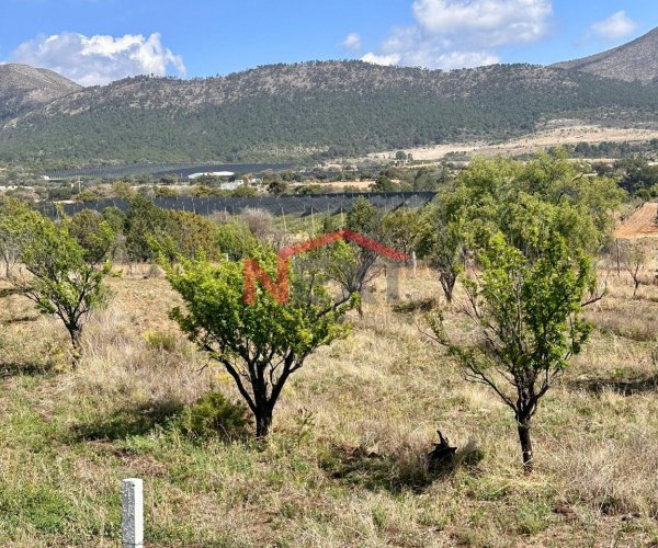 Terreno campestre en venta  Rincón de las víboras en el Tunal.