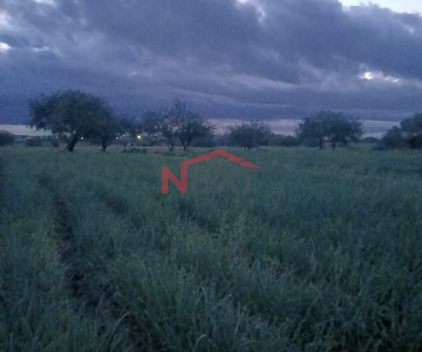 TIERRAS PARA SIEMBRA EN VENTA EN LA VICTORIA