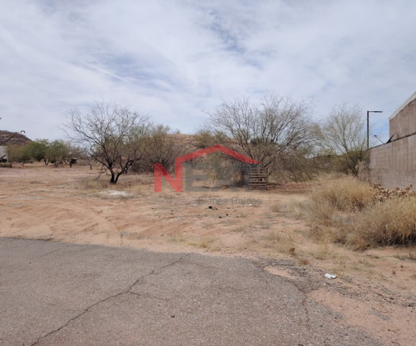 TERRENO CAMPESTRE EN VENTA PUEBLO DORADO