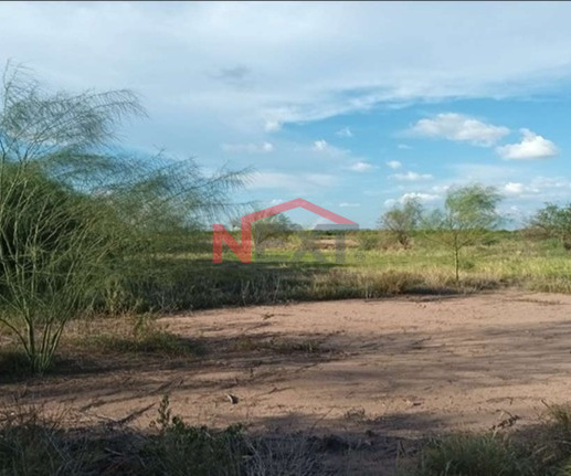 TERRENO AGRICOLA EN VENTA UBICADO EN BACUM, SONORA