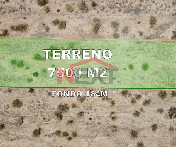 TERRENO URBANO EN VENTA EN EJIDO VICTORIA