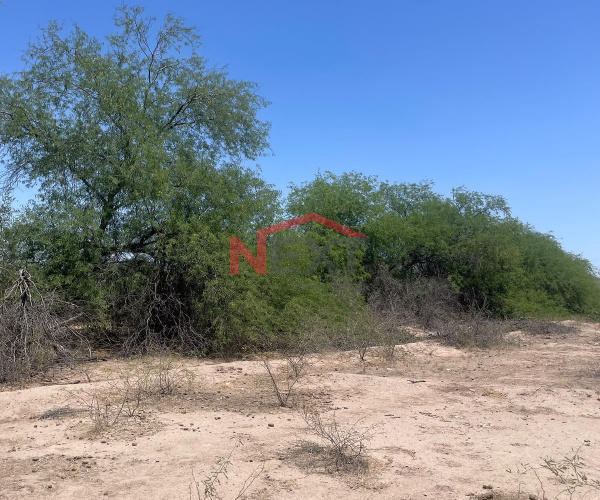 TERRENO EN VENTA EN EJIDO DE VILLA DE SERIS