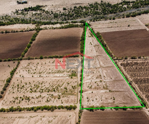 PARCELA DE SIEMBRA EN VENTA EN EJIDO MOLINO DE CAMOU