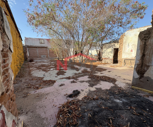 TERRENO EN RENTA EN COL. CENTRO