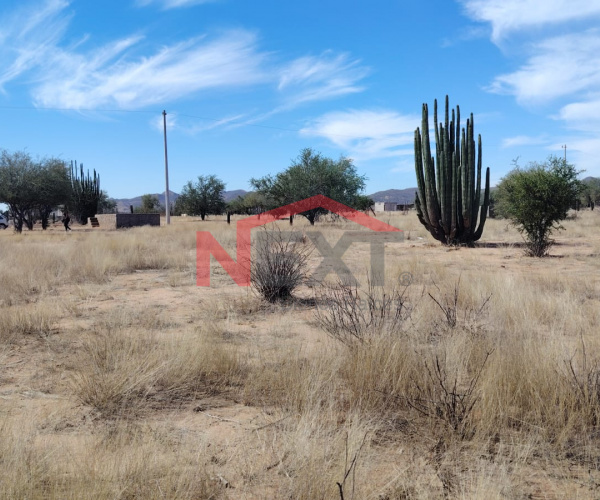 TERRENO EN VENTA EN SAN PEDRO EL SAUCITO
