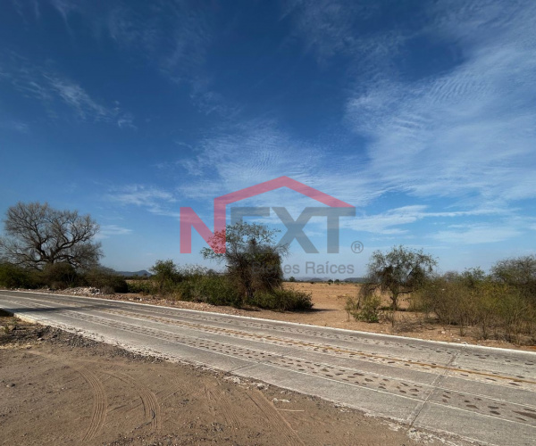 TERRENO AGRÍCOLA EN VENTA - CÓCORIT, SONORA
