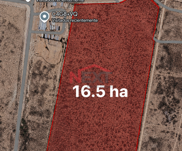 Terreno en venta | Prolongación Óscar Flores Tapia Sur, Arteaga, Coahuila