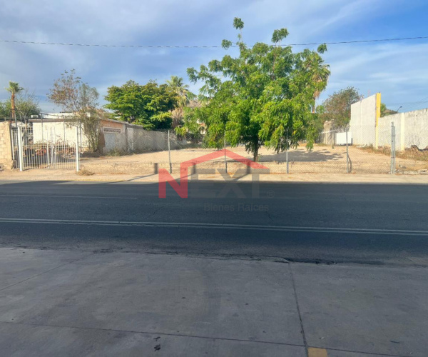 TERRENO EN VENTA EN COL. CENTRO