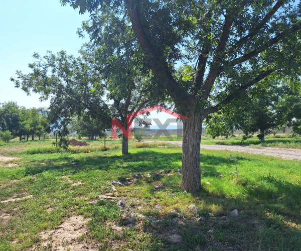 TERRENO CAMPESTRE CON NOGALES EN FRACC. RINCÓN DE ARSENTALES