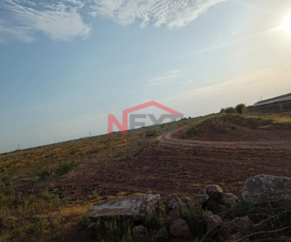 RENTA DE TERRENO AGRÍCOLA UBICADO EN EJIDO FCO. GONZALEZ BOCANEGRA