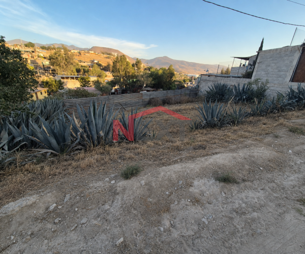 TERRENO EN VENTA, MACLOVIO ROJAS TIJUANA B.C.