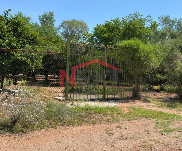 TERRENO EN VENTA EN FRACC. HACIENDAS DEL REAL EN REAL DEL ALAMITO
