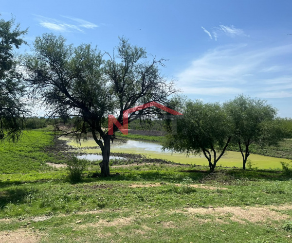 RANCHO EN VENTA UBICADO EN NACORI GRANDE