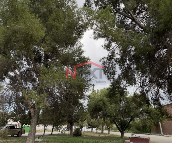 Terreno Residencial en VENTA en Puerta del Sol, Saltillo Norte