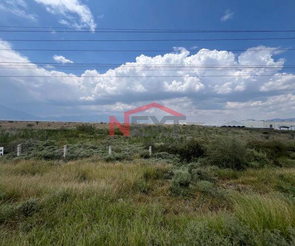 TERRENO SOBRE CARRETERA EN RENTA (a un lado de Parque Santa Mónica)