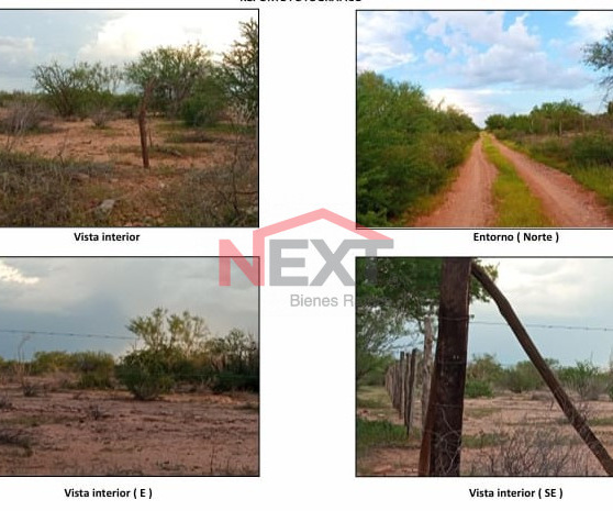 TERRENO EN VENTA EN REAL DE ALAMITO