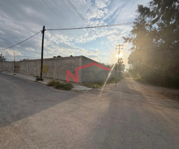 Terreno Comercial  en Renta 1,285 m² en esquina y bardeado | Molinos del Rey, Ramos Arizpe