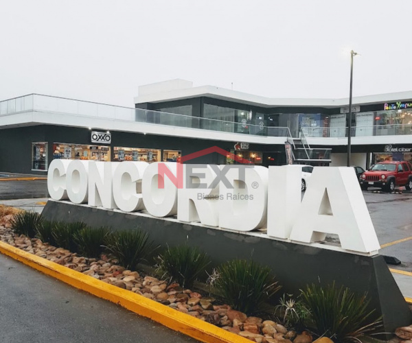 Local comercial en renta  Plaza Concordia