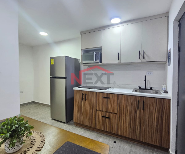 DEPARTAMENTO EN RENTA EN COL. LOMA LINDA