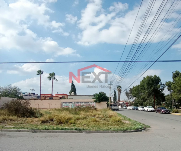 TERRENO AL NORTE EN RENTA, JARDINES DEL VALLE