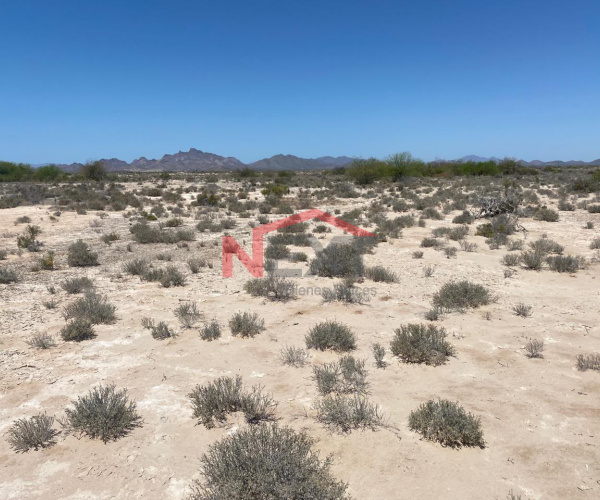 TERRENO EN VENTA EN LA SARDINA EN BAHIA DE KINO